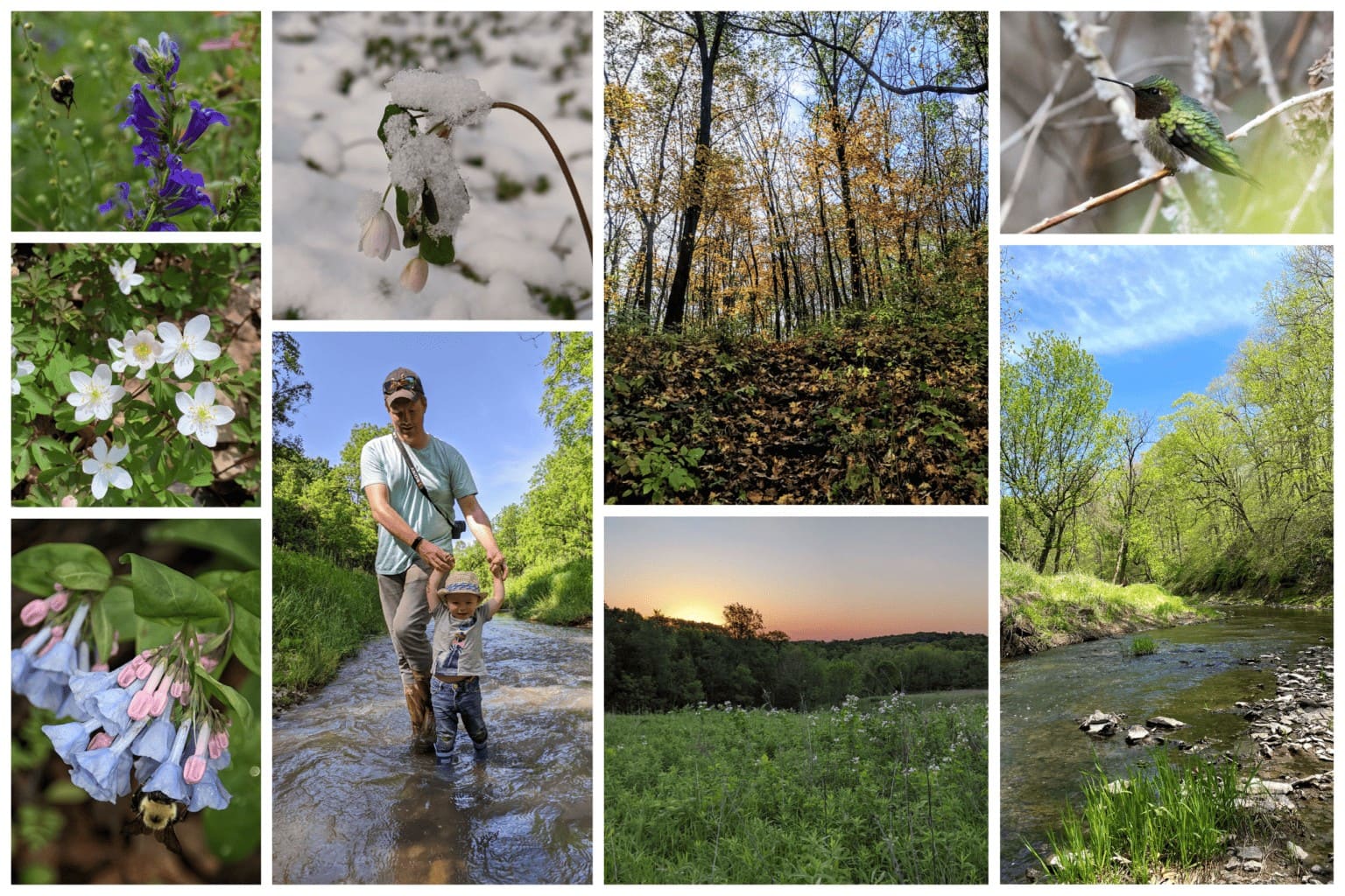  Turkey Creek Nature Preserve photos
